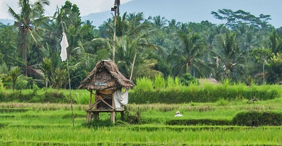 Ubud